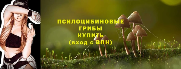 МДПВ Алексеевка