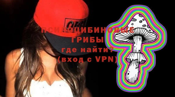 МДПВ Алексеевка