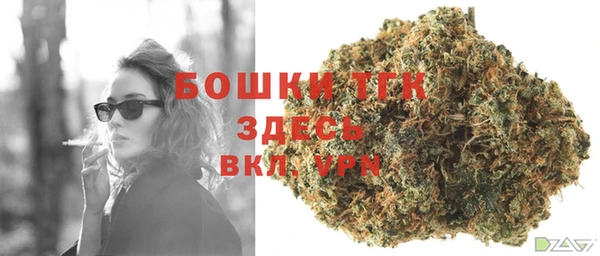 МДПВ Алексеевка