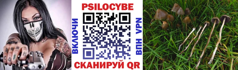 Галлюциногенные грибы Cubensis Большой Камень